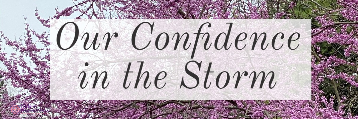 Our Confidence in the Storm