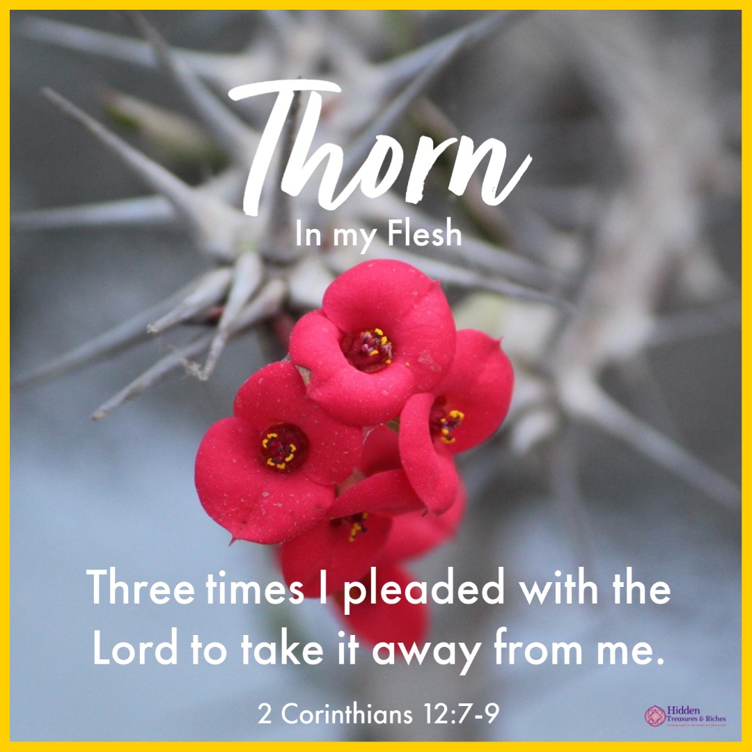 Thorn In The Flesh Bible Verse Scripture How To Deal With It 