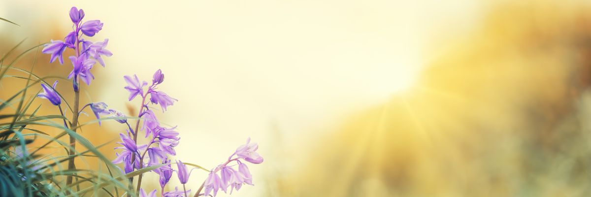 Discover the power of Easter through 1 Peter 1:3. Find fresh hope, new beginnings, and joy in the resurrection of Jesus Christ.